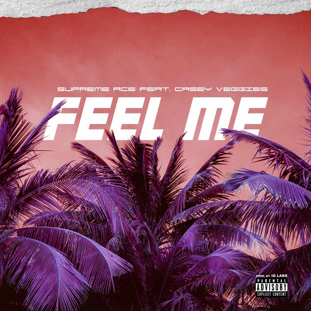 Feel Me (Explicit)