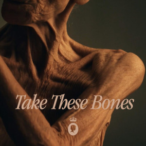 Album Take These Bones from 