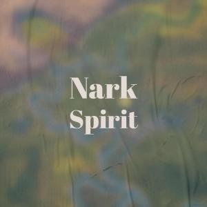Album Nark Spirit from Various Artists