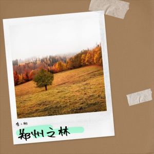 李二刚的专辑郑州之林