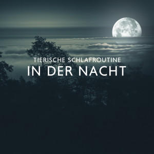 Album Tierische Schlafroutine in der Nacht (Achtsamkeit Meditation zum Einschlafen und Durchschlafen) oleh Pet Music Academy
