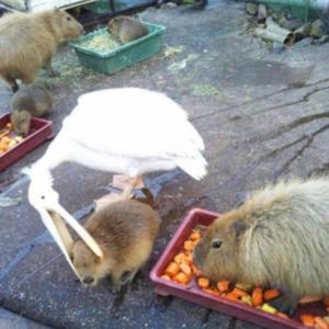 Dengarkan lagu I'll Never Leave A Club Again nyanyian Aexhy dengan lirik