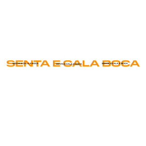 Album Senta e Cala a Boca (Explicit) from DJ PAULINHO DA FAIZÃO