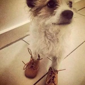 收聽Pythio的S class (Explicit)歌詞歌曲