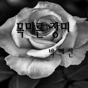 PARK HYE SIN的專輯목마른 장미