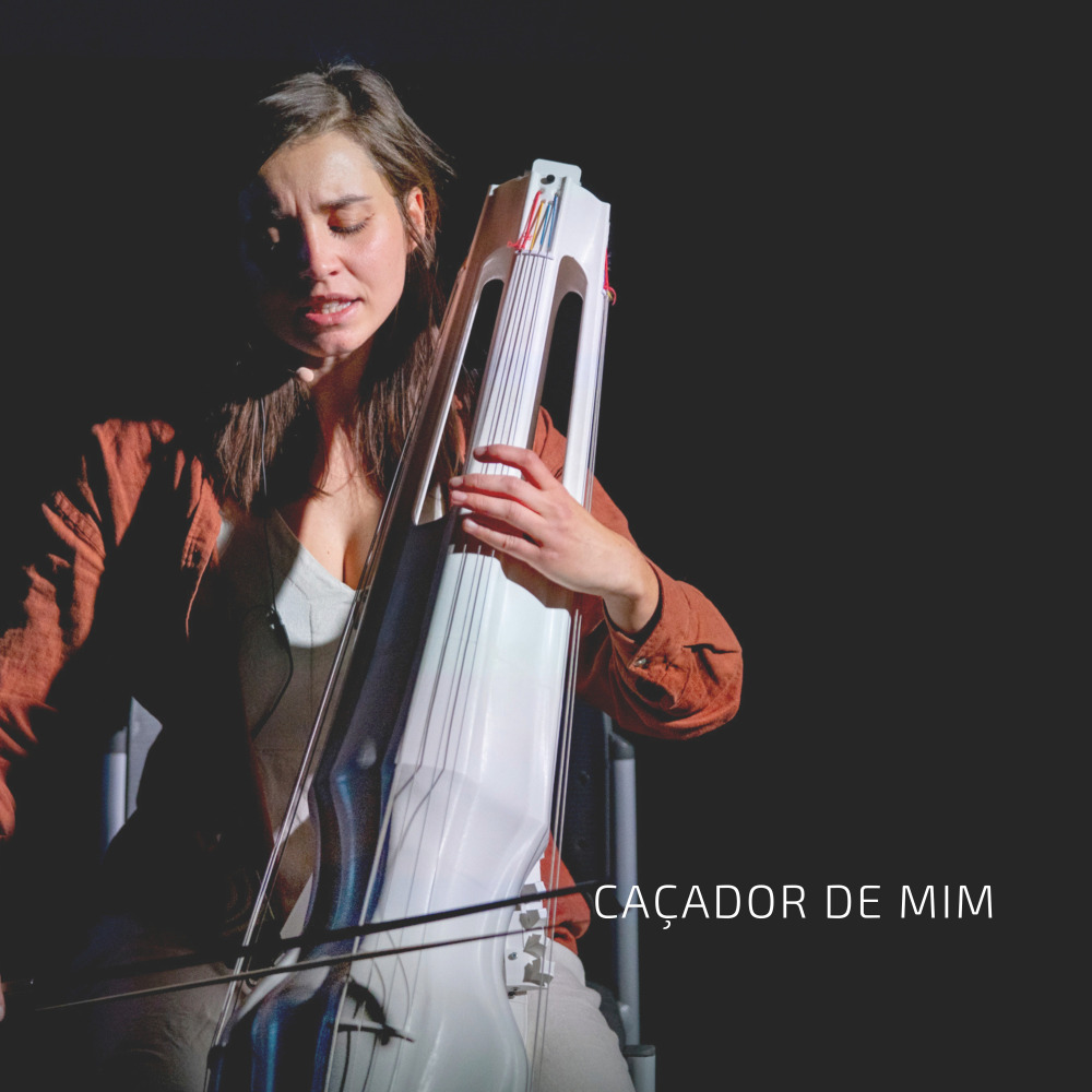 Caçador de mim