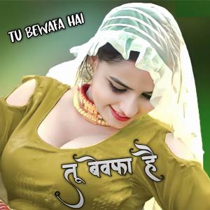 Album Tu Bewafa Hai from 