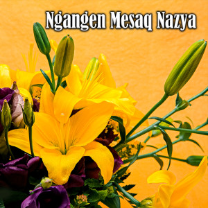 Sandi Wisnu的專輯Ngangen Mesaq Nazya