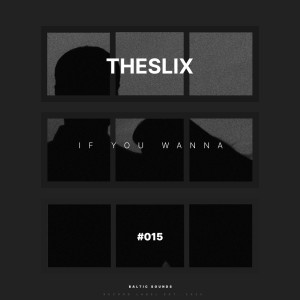 ดาวน์โหลดและฟังเพลง If You Wanna พร้อมเนื้อเพลงจาก TheSliX
