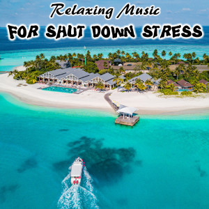 Listen to Relaxing Music for Shut Down Stress song with lyrics from Mr. Gun