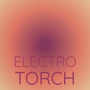 Listen to Electro Torch song with lyrics from Mima Marno
