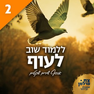 Listen to הולך song with lyrics from Michael Harpaz