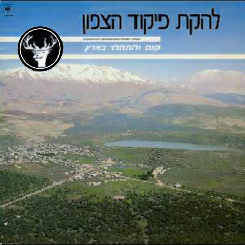 לילה בחוף