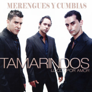 ดาวน์โหลดและฟังเพลง Date la Vuelta พร้อมเนื้อเพลงจาก Tamarindos