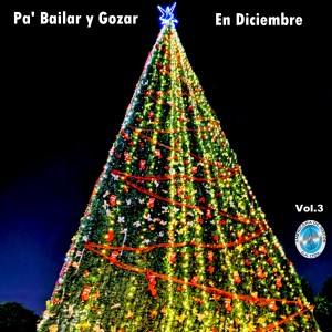 Album Pa' Bailar y Gozar en Diciembre, Vol. 3 from Varios Artistas