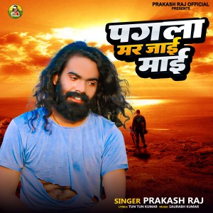 Listen to Pagala Mar Jae Mai song with lyrics from Prakash Raj