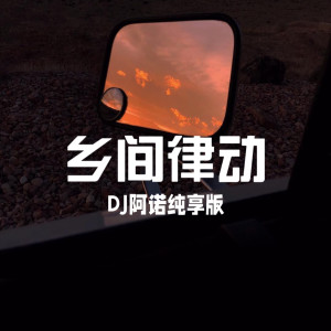 DJ阿诺的专辑乡间律动 (DJ阿诺纯享版)