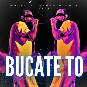 收聽maceo el perro blanco live的bucate to (live)歌詞歌曲