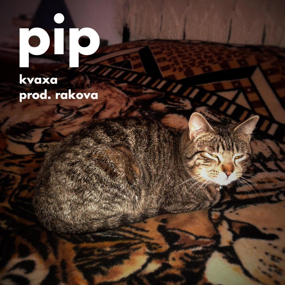 Pip