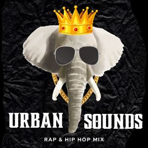 Various Artists的專輯Urban Sounds Rap & Hip Hop Mix (Explicit)