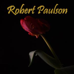 收聽Robert Paulson的Clubbed Over the Head歌詞歌曲
