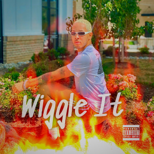 Listen to Wiggle It (Explicit) song with lyrics from Mark