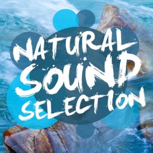 收聽Outside Broadcast Recordings的Lake Life歌詞歌曲