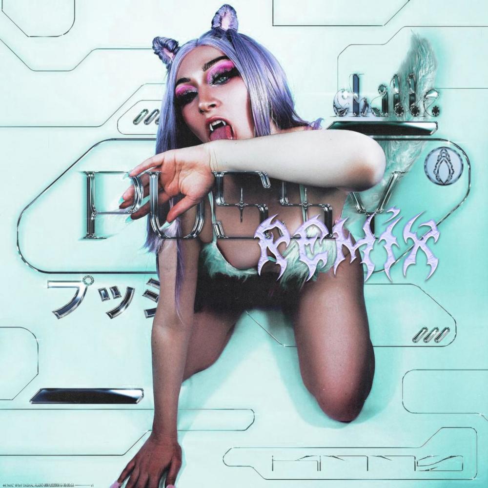 Pussy (MRTN Remix|Explicit)
