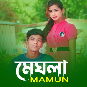 Album Megla from Mamun