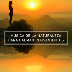 收聽Meditación的Montañas歌詞歌曲