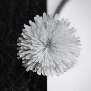 Listen to Weightless Feeling song with lyrics from Profundidad