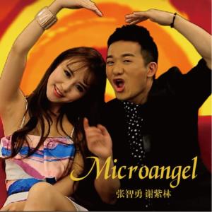 收聽張智勇的Microangel歌詞歌曲