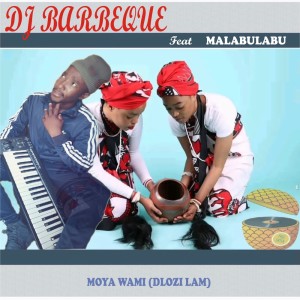 Listen to Moya Wami (Dlozi Lami) song with lyrics from DJ Barbeque