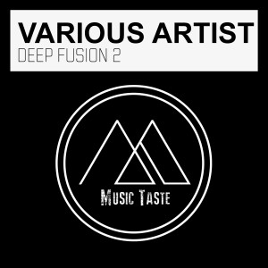 Various Artists的專輯Deep Fusion 2