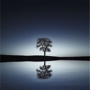 Deep Sleep的专辑Sounds for Relaxation and Calm Stress