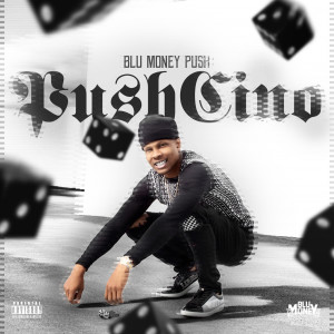 Listen to Outro (Explicit) song with lyrics from Blu Money Push