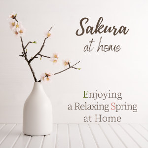 Dengarkan Rays Through the Windows lagu dari Relax α Wave dengan lirik