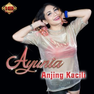 Listen to Anjing Kacili song with lyrics from Ayunia