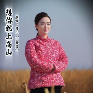 Album 想你就上高山 from 林凡（LinFan）