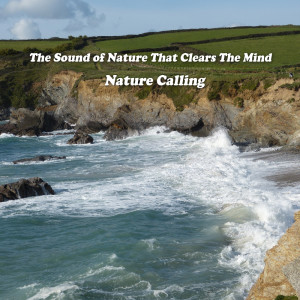 收聽네이쳐콜링的머리를 맑게 해주는 자연의 소리 The Sound of Nature That Clears The Mind歌詞歌曲