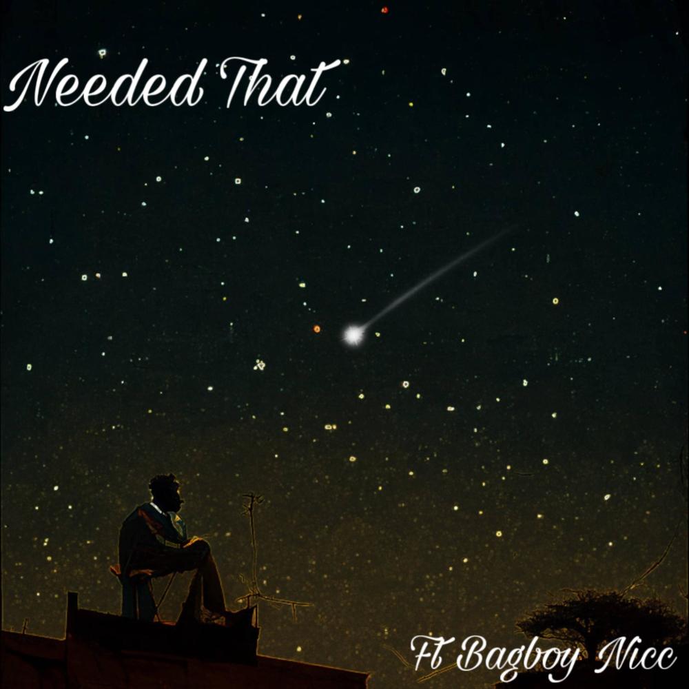 Needed That (feat. BagBoyy Nicc) (Explicit)