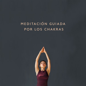 Album Meditación Guiada por los Chakras from 
