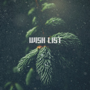 Listen to Wish List song with lyrics from LAYNE
