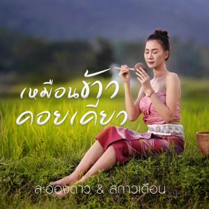 ดาวน์โหลดและฟังเพลง เหมือนข้าวคอยเคียว พร้อมเนื้อเพลงจาก ละอองดาว + สกาวเดือน