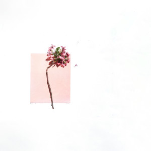 Album Just Something from ariiol