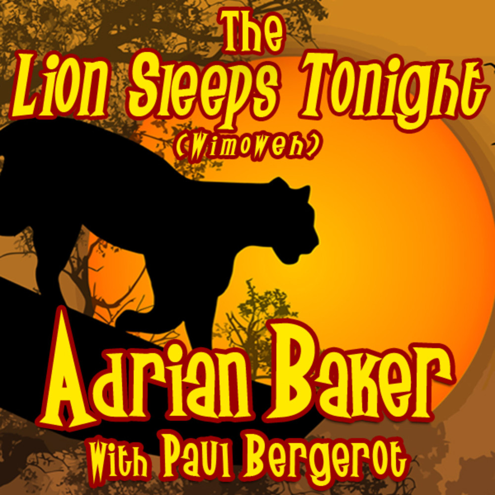 The Lion Sleeps Tonight (Wimoweh) [feat. Paul Bergerot]