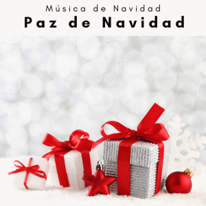 Musica de Navidad的專輯Paz de Navidad