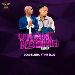Album Unanikosha (Remix) oleh Dogo Elisha