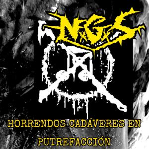 Noise Gore的專輯Horrendos Cadáveres En Putrefacción (Explicit)
