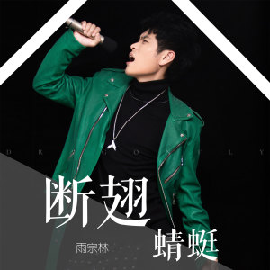 ดาวน์โหลดและฟังเพลง 断翅蜻蜓 (伴奏) พร้อมเนื้อเพลงจาก 雨宗林